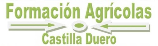 Aula Virtual